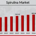 Commercial Spirulina Farming