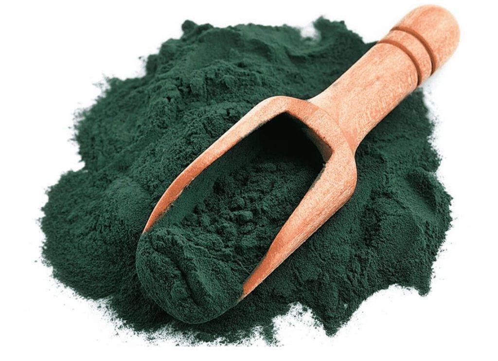 Scaling up Spirulina Production