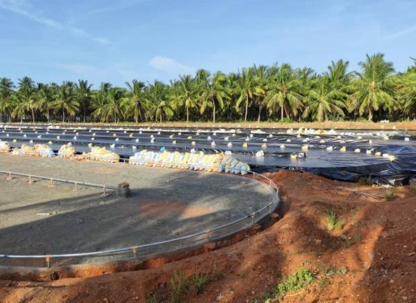 Spirulina Farming in India