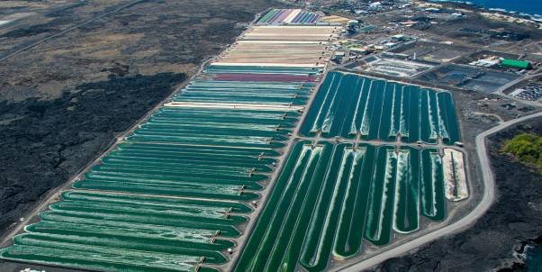 Solar-Based Farms and Projects: Powering a Sustainable Agriculture Revolution