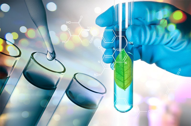 Spirulina Biotechnology Projects