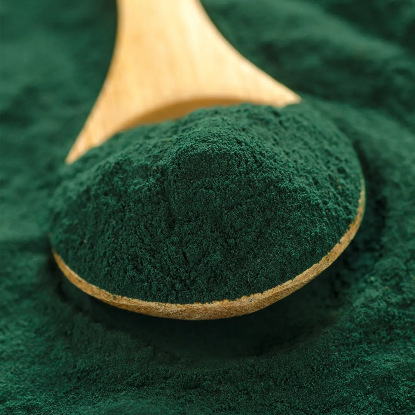 spirulina-powder