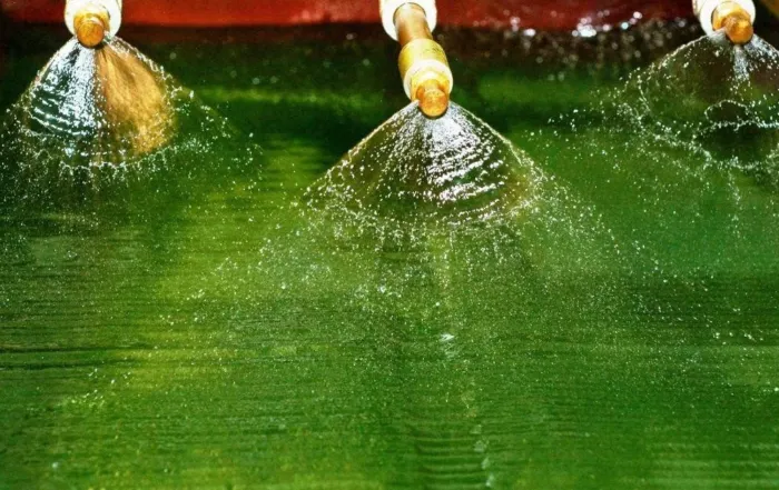 Automation in Spirulina Farming: How Technology Can Boost Mass Production