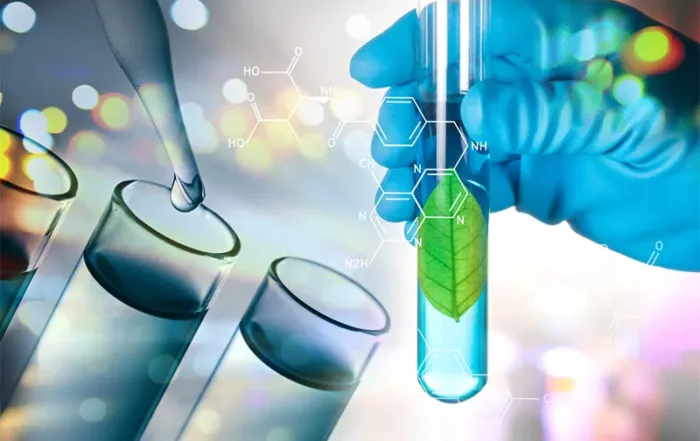 Biotechnology Projects: Driving Innovation in Agriculture and Sustainability