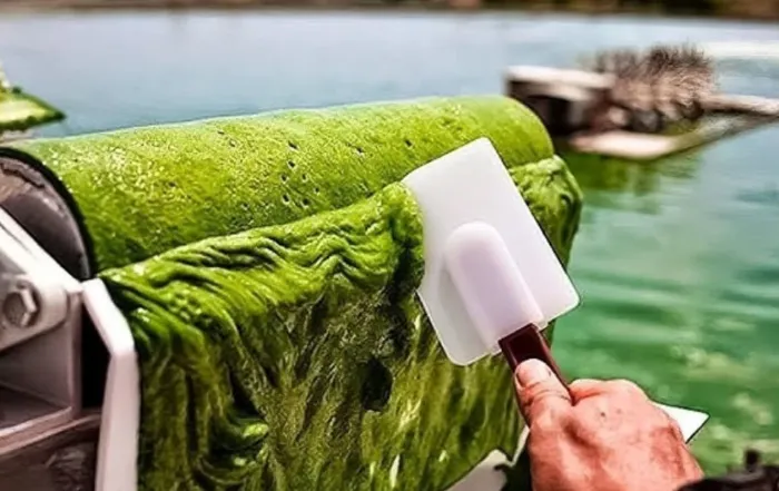 How to Optimize Spirulina Yield Tips for Scaling Production Efficiently