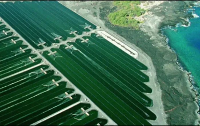 The Future of Agriculture: Innovations Shaping Tomorrow’s Farming