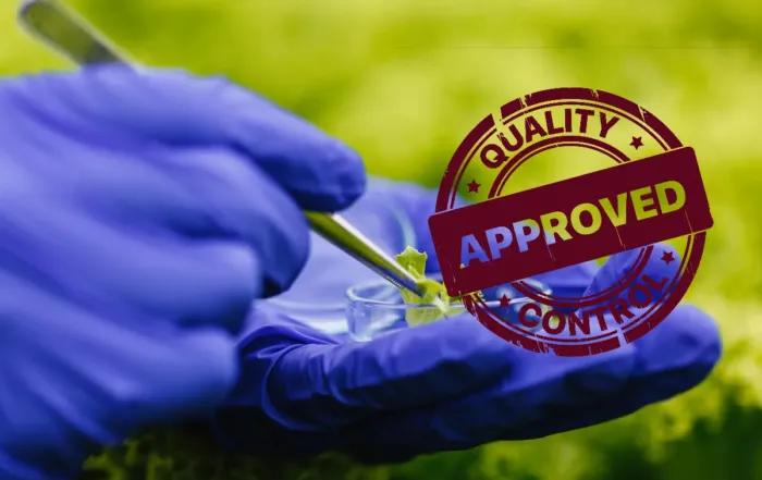 government-grants-and-subsidies-for-spirulina-production