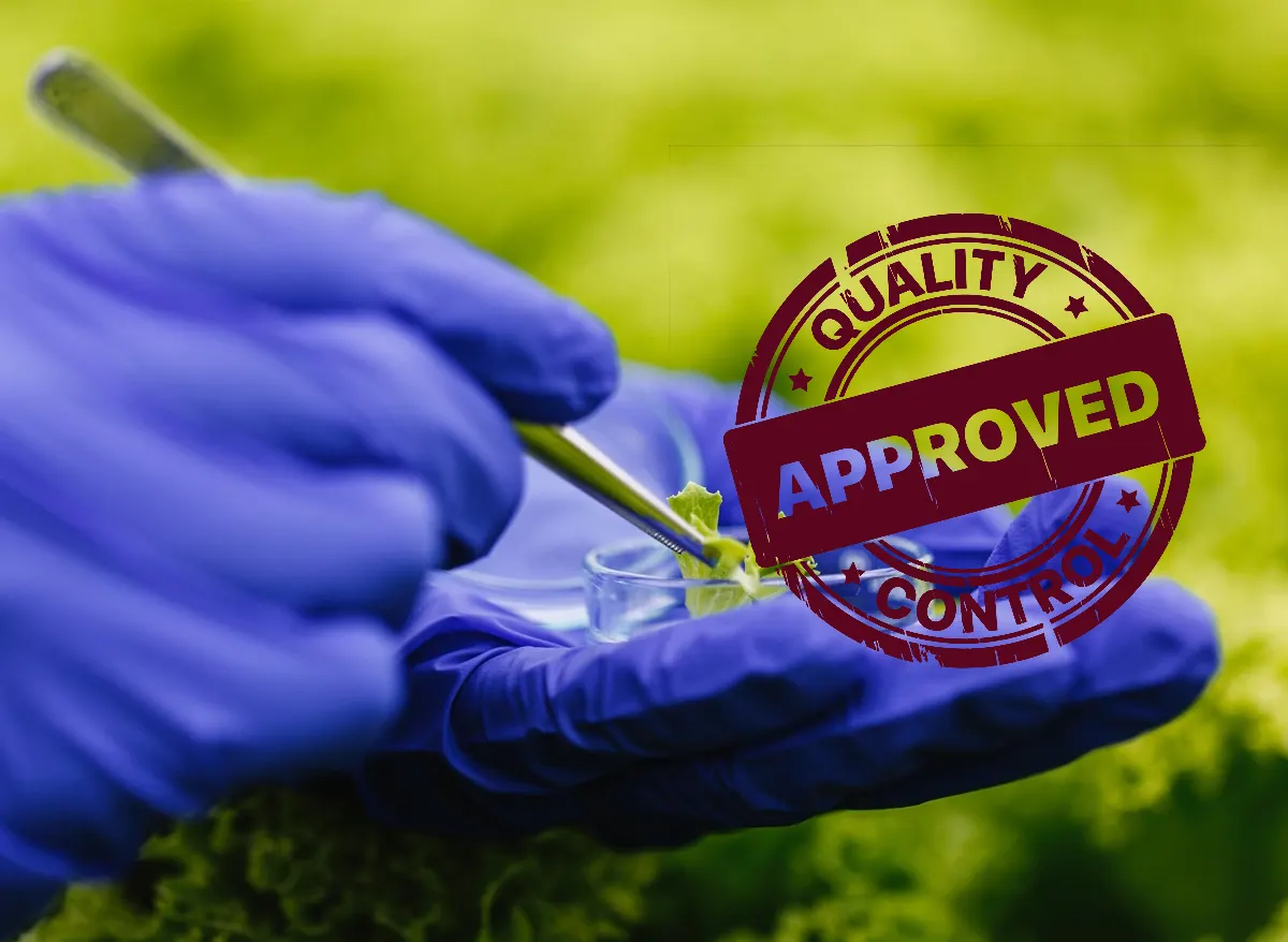 government-grants-and-subsidies-for-spirulina-production