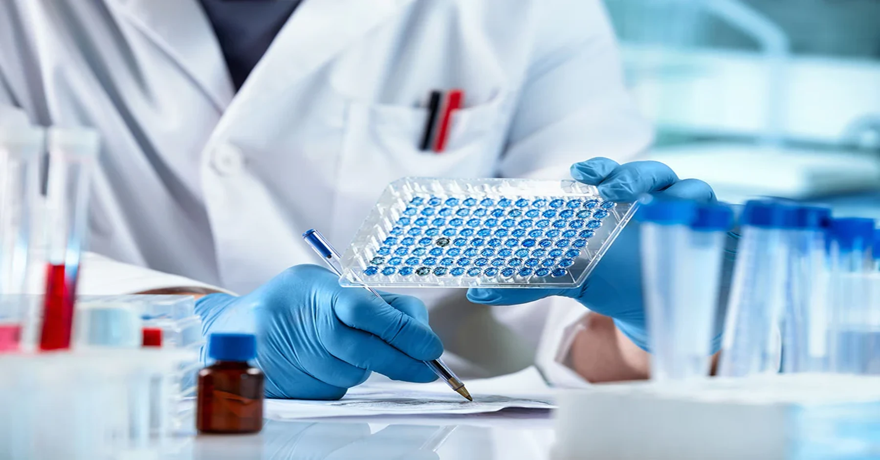 Role of COA in Premium Spirulina Pricing