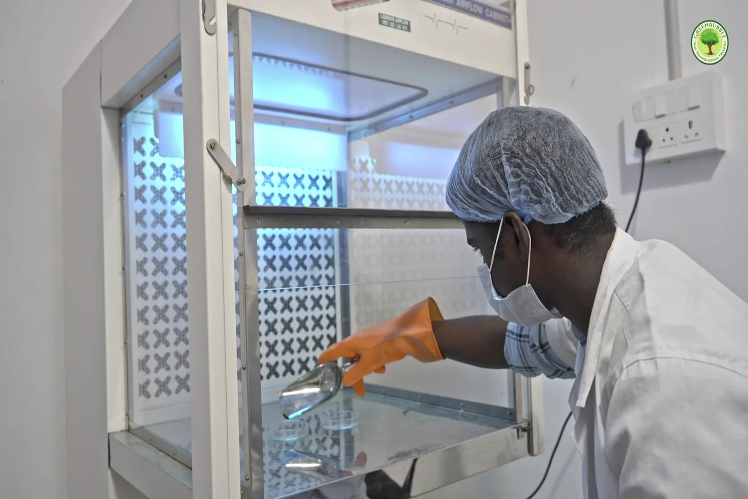 What’s the Daily Care Routine on a Spirulina Farm?
