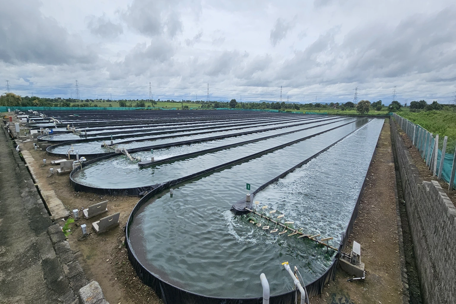 Building an Efficient Spirulina Raceways System