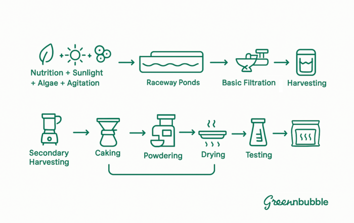 From Culture to Powder The Spirulina Journey