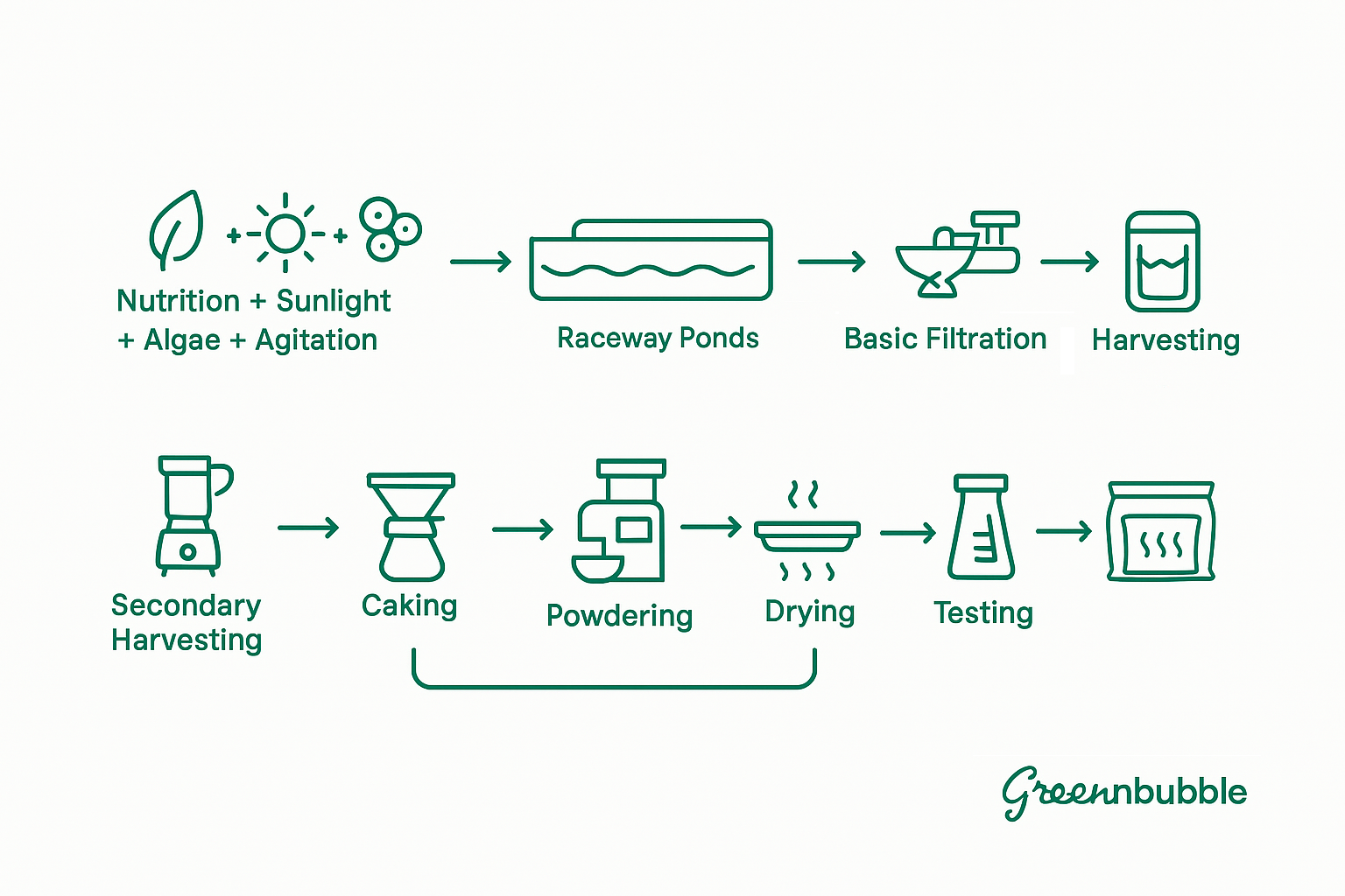 From Culture to Powder The Spirulina Journey