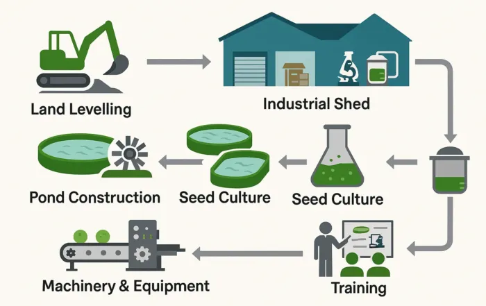 What Goes Into a Spirulina Turnkey Project
