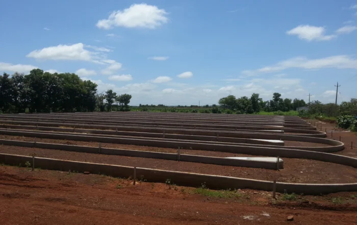 How to Design a Spirulina Pond for Organic Production