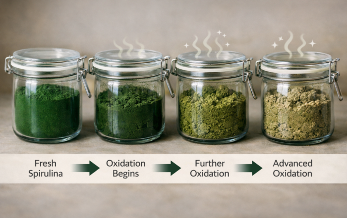 Oxidation Pathways in Spirulina Powder During Storage