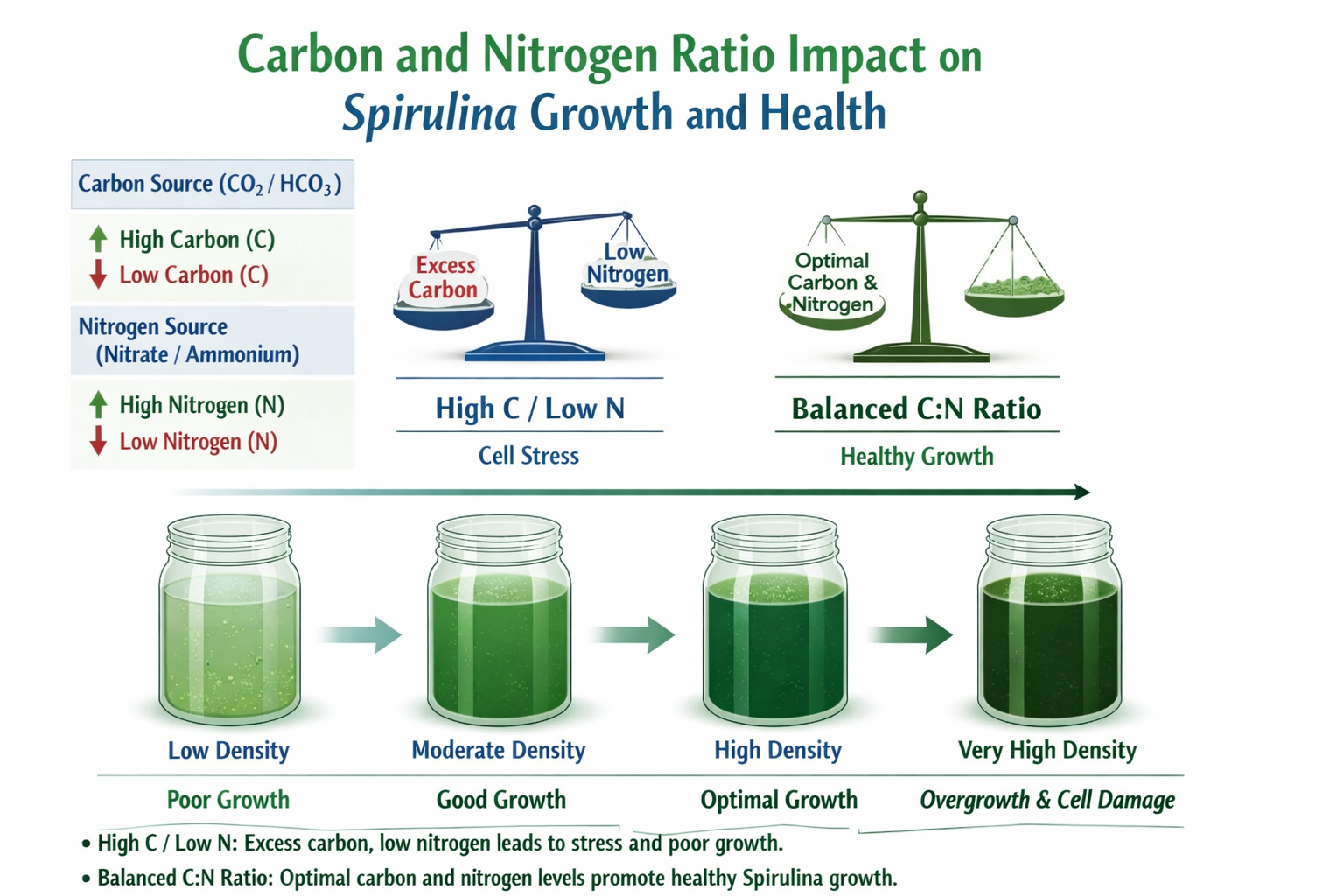 Role of Carbon_ Nitrogen Ratio in High-Density Spirulina Cultivation