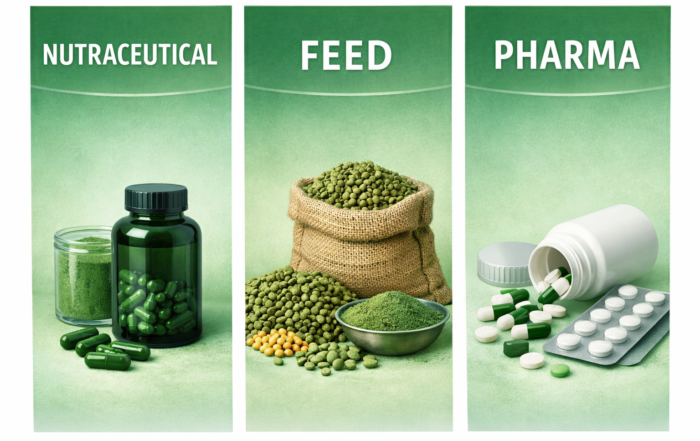 Global Spirulina Demand Forecast_ Nutraceutical vs Feed vs Pharma