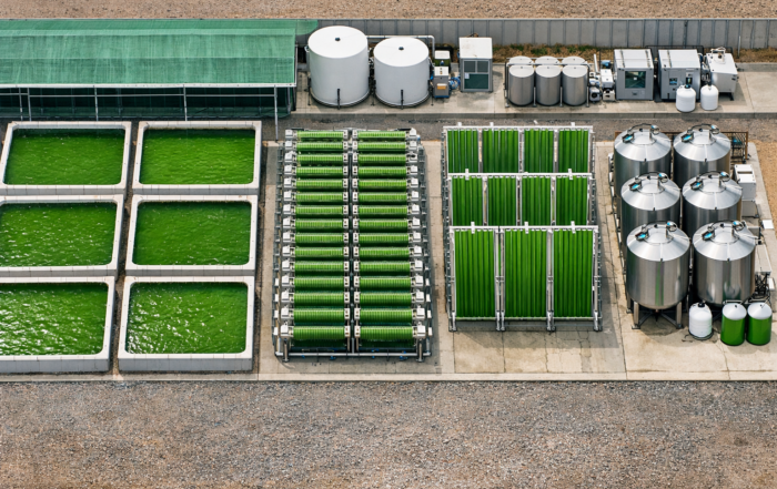 Price of Spirulina Based on Cultivation Method